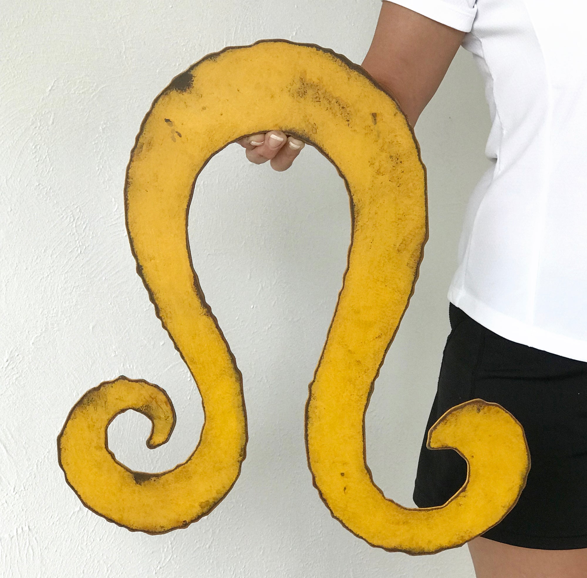 Pisces Zodiac Symbol - Metal Wall Art Home Decor - Made in the USA - Choose 11", 17" or 23" Wide - Choose your Patina Color - Free Ship